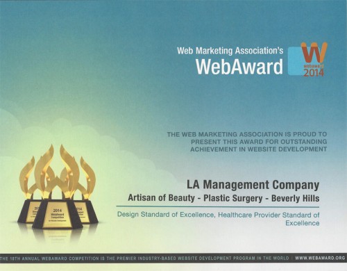 AOB_Web Award